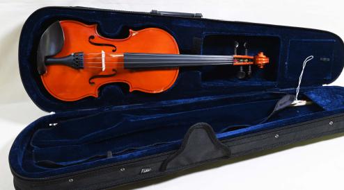 Violin